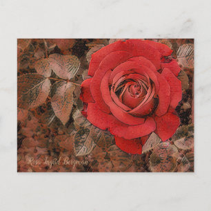 Postal Rosa roja [postal]