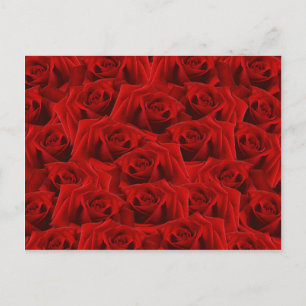 Postal Rosa Rojo Romántico