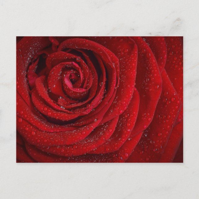 Postal Rosa Rojo Romántico (Anverso)