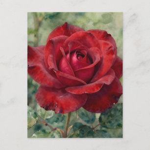 Postal Rosa Romántica Roja Profunda en Flor