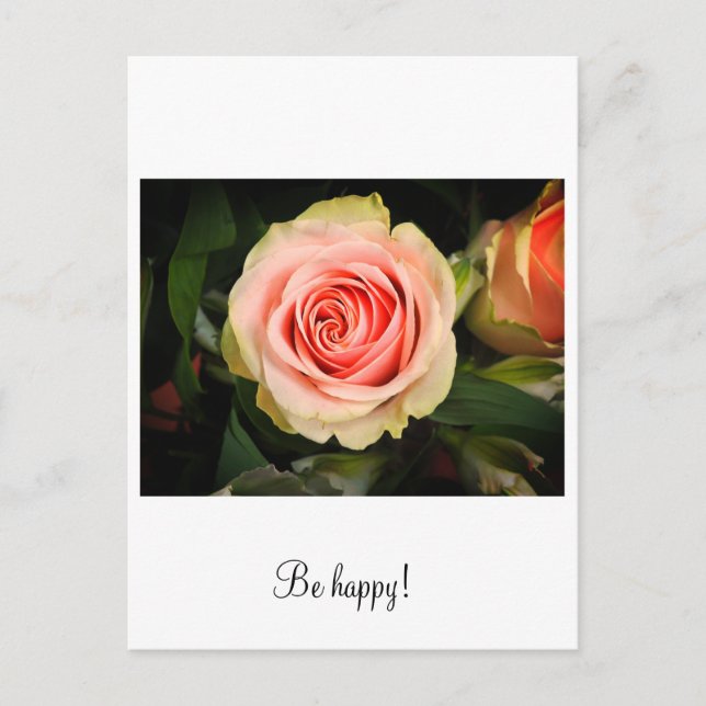 Postal Rosa rosa (Anverso)