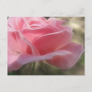 Postal Rosa rosa 3 Angélica