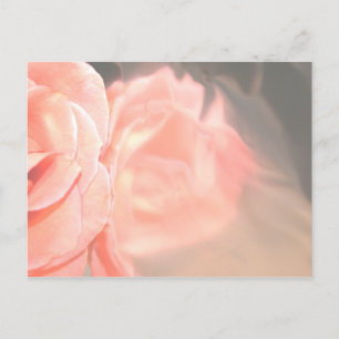Postal Rosa rosa claro en plata