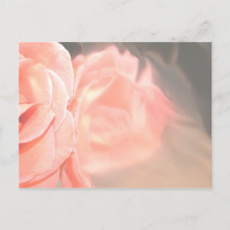 Postal Rosa rosa claro en plata