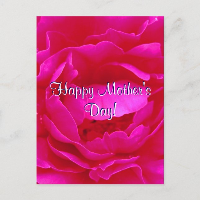 Postal Rosa rosa del Día de la Madre Feliz (Anverso)