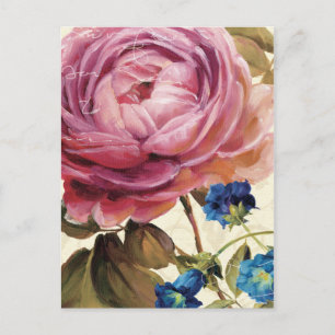 Postal Rosa rosa en pleno auge