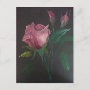 Postal Rosa rosa n Buds