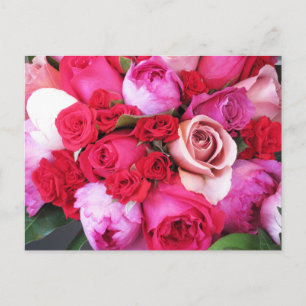 Postal Rosa Rosa París