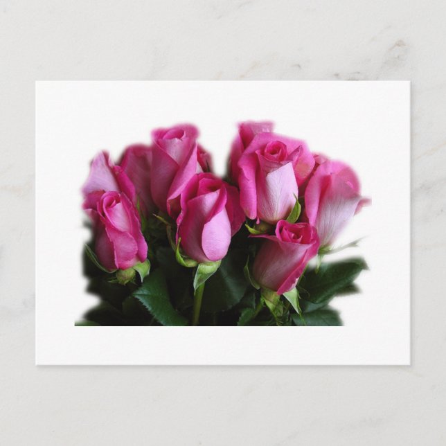 postal rosa rosa rosa (Anverso)