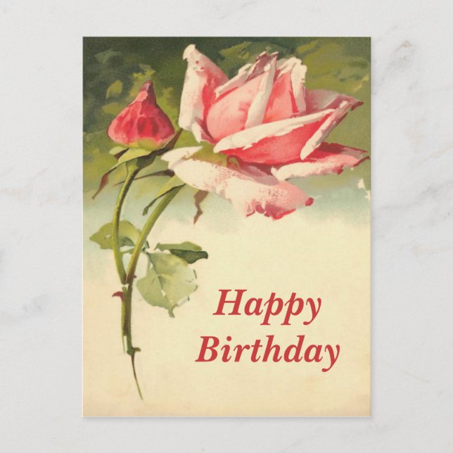 Postal rosa rosa rosa vintage (Anverso)