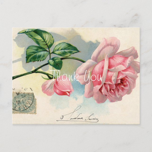 Postal Rosa Rosa rosa vintage gracias (Anverso)