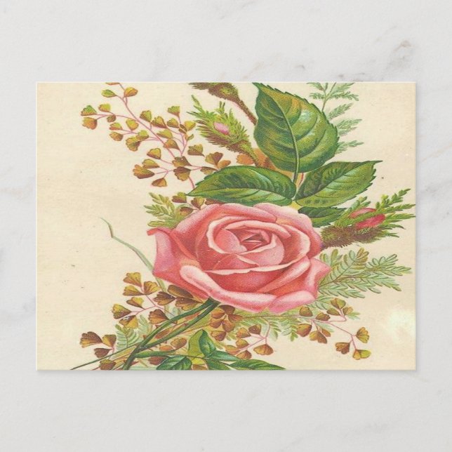 Postal Rosa rosa vintage (Anverso)