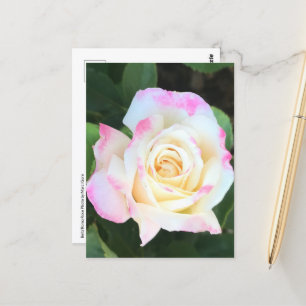 Postal rosa rosa y amarilla