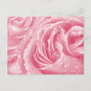 Postal rosa rosada espumosa