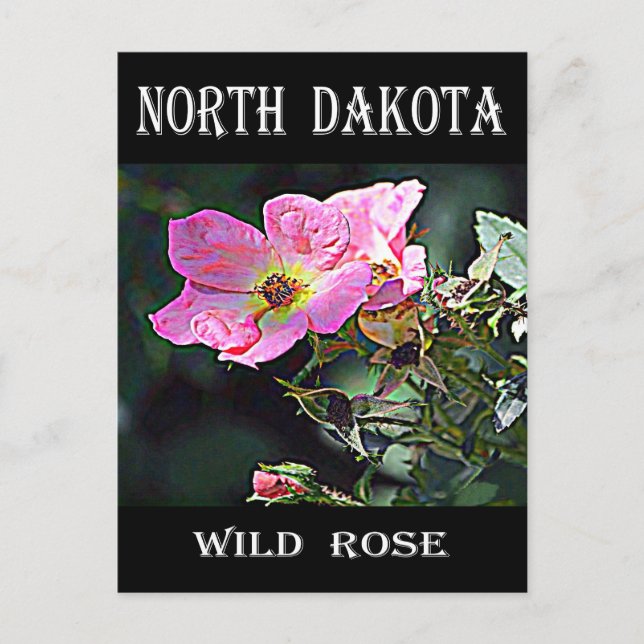 Postal Rosa salvaje de Dakota del Norte (Anverso)