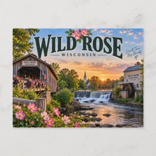 Postal Rosa Silvestre Wisconsin