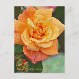Postal Rosa Souvenir de Anne Frank [postal]