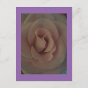 Postal Rosa suave
