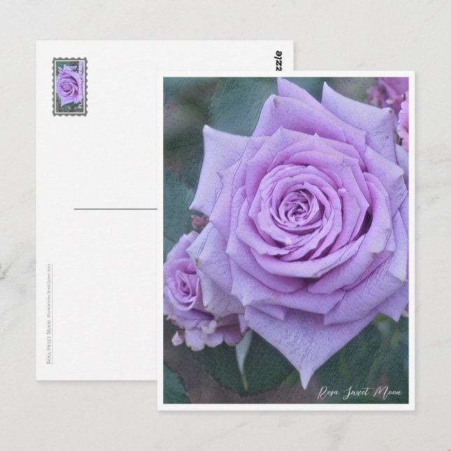 Postal Rosa Sweet Moon (Anverso / Reverso)