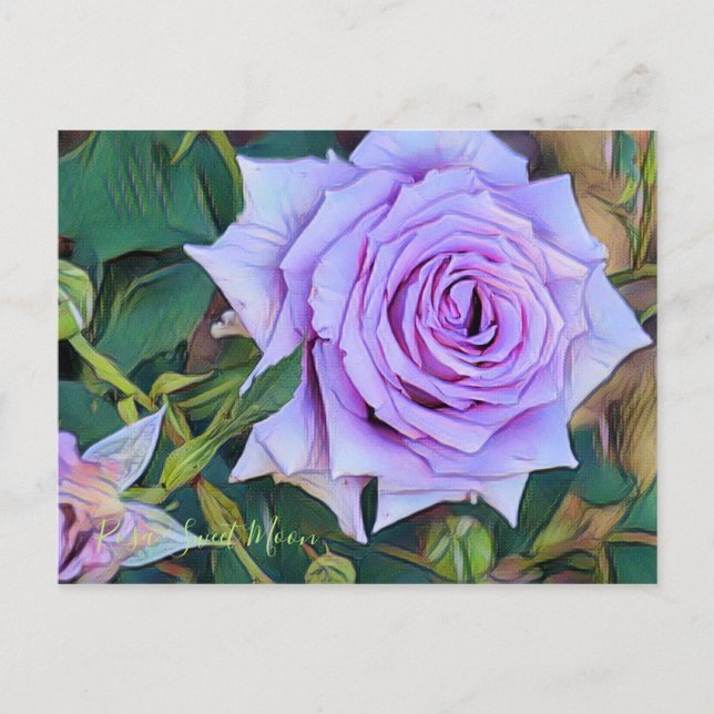 Postal Rosa Sweet Moon [Postcard] (Anverso)
