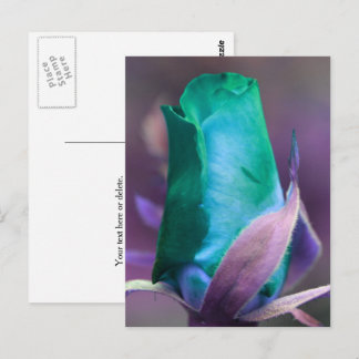 Postal Rosa Turquesa Personalizada