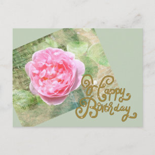 Postal Rosa un der Wand