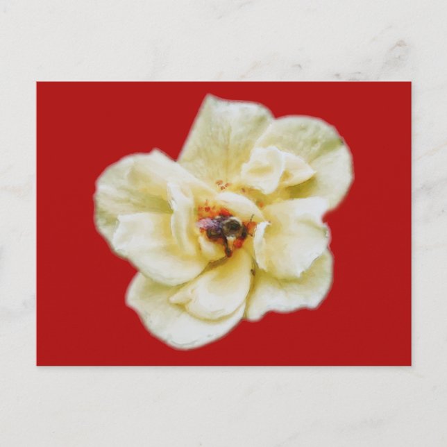 Postal Rosa y abeja (Anverso)