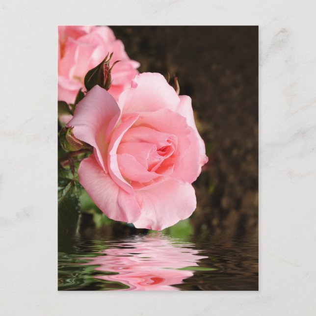 Postal rosa y agua (Anverso)