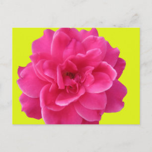 Postal Rosa y Amarillo