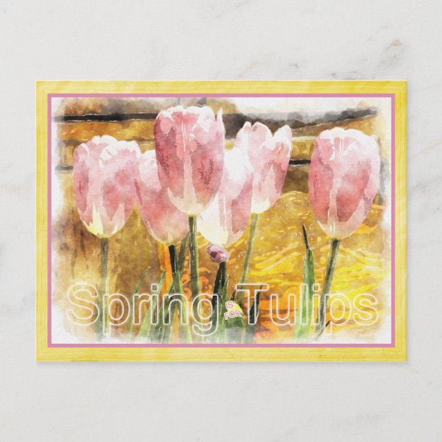 Postal Rosa y Amarillo - La primavera es para tulipanes (Anverso)