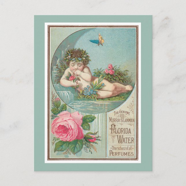 Postal Rosa y Cherub Florida Waters (Anverso)