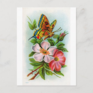 Postal Rosa y mariposa
