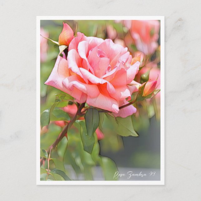 Postal Rosa Zambra '93 (Anverso)