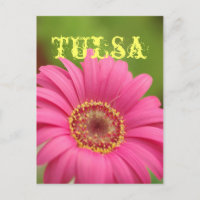 Postal rosada de la margarita del Gerbera de