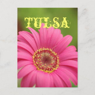 Postal rosada de la margarita del Gerbera de