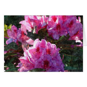 Postal rosada de los Peonies