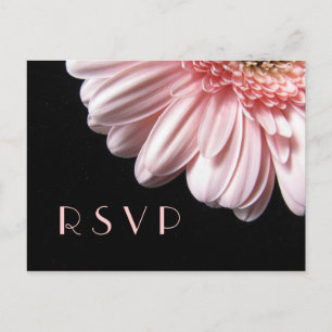 Postal rosada de RSVP de la margarita del Gerbera