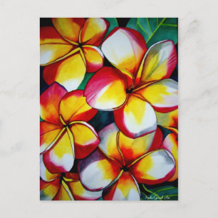 Postal rosada frangipanis de Sacha Grossel Art
