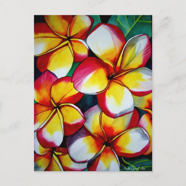 Postal rosada frangipanis de Sacha Grossel Art (Anverso)