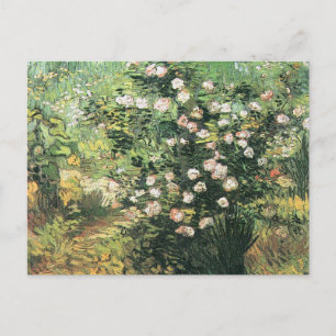 Postal Rosal en Flor por Vincent van Gogh
