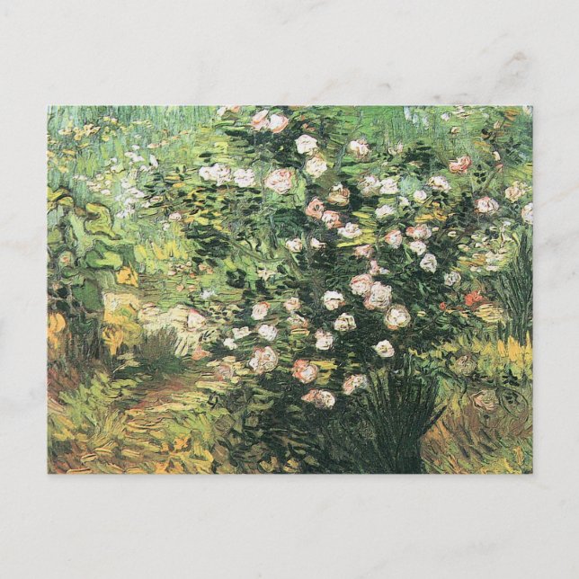Postal Rosal en Flor por Vincent van Gogh (Anverso)