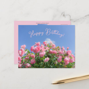 Postal Rosal rosa bajo cielo azul, personalizado