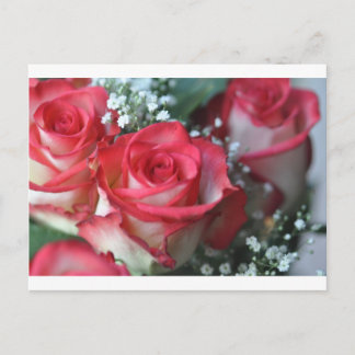 Postal rosas