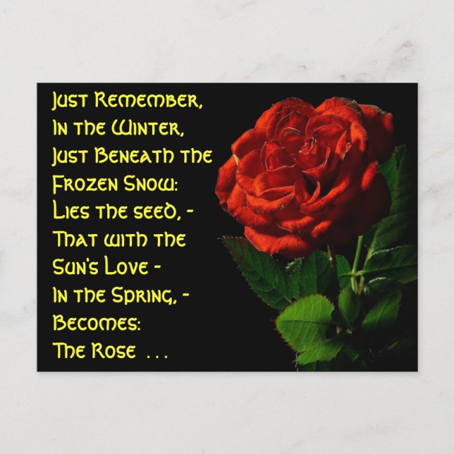 Postal Rosas... (Anverso)