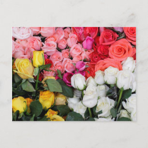 Postal Rosas a la venta, San Miguel de Allende, México