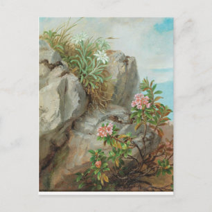 Postal Rosas alpinos Anna Stainer-Knittel Vintage