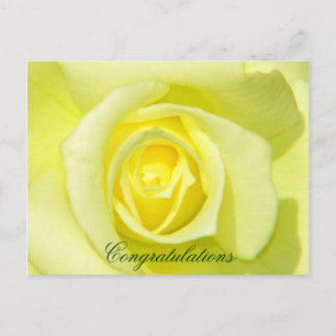 Postal Rosas amarillas_