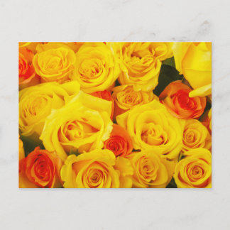 Postal Rosas Amarillas París