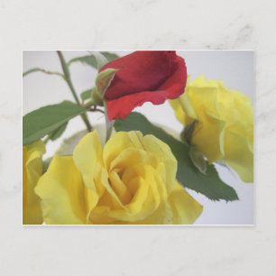 Postal Rosas amarillas y rojas