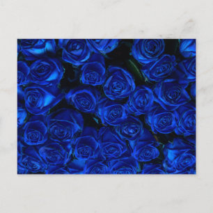 Postal Rosas azules